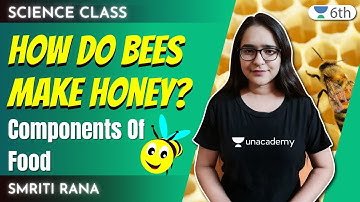How Do Bees Make Honey? | Components Of Food | Science | Unacademy 6th | Smriti Rana