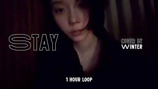 Stay - Rihanna ft. Mikky Ekko | Cover by WINTER (1 hour loop)
