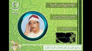 الشيخ عبدالمنعم الطوخي سورة النمل