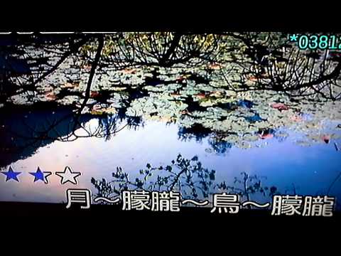 月朦朧鳥矇矓