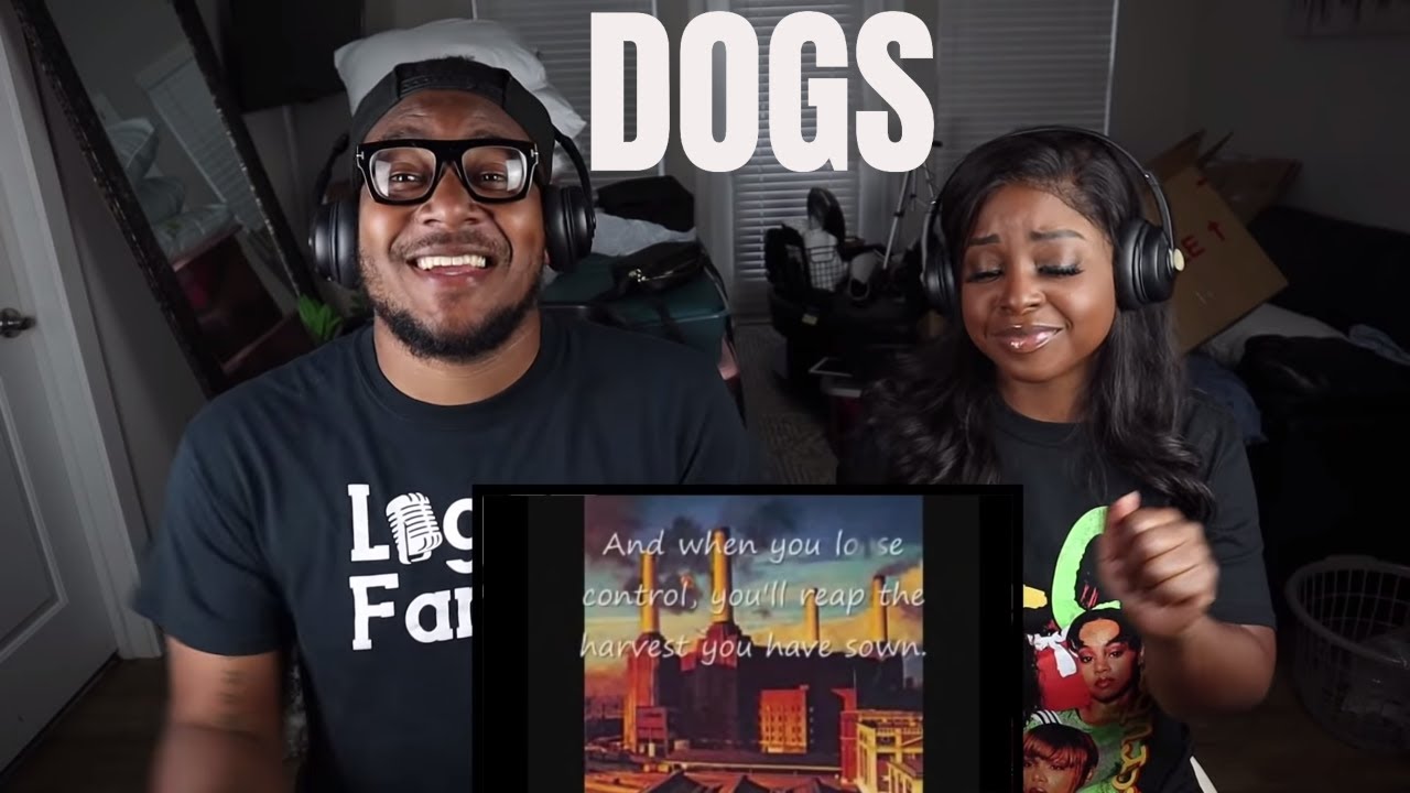 Pink Floyd - Dogs (reaction)