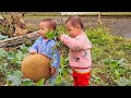 Single mother harvests vegetables from the garden to sellcooks porridge for her twins