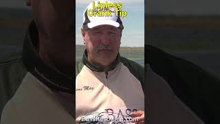 Lipless Crankbait Myth #springbassfishing #bassfishingtips #crankbaitfishing