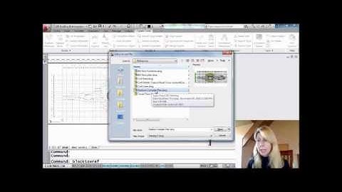 Convert Blocks Back into Xrefs (Lynn Allen/Cadalyst Magazine)