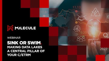 Making Data Lakes a Central Pillar of Your C/ETRM