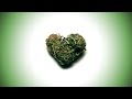 Dj inappropiate  smoke weed everyday remix official