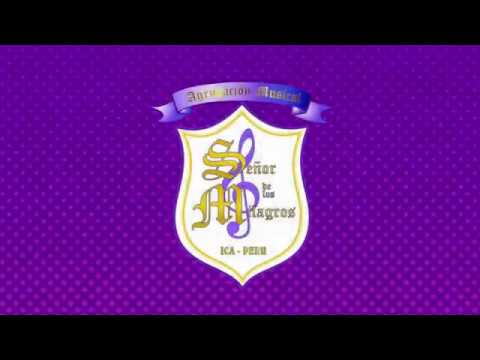 AGRUPACIÓN MUSICAL SEÑOR