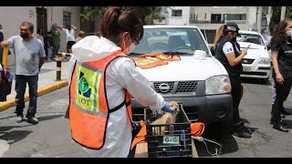 Â¡TÃ³mala! Condenan a hombre que maltratÃ³ a mÃ¡s de 20 perritos en CDMX