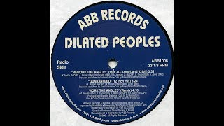 Dilated Peoples - Work The Angles (Remix) [Instrumental]