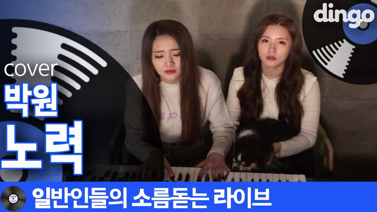 [일소라] 댕댕이 자매의 노력 (박원) cover