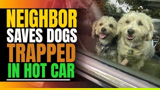NEIGHBOR Saves Dogs Trapped In Hot Car. Then This Happens