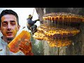 ネパールの幻覚をおこすマッドハニー(狂うために崖を登る)