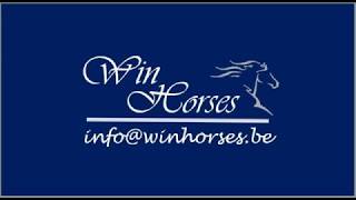 Venom - 4yo gelding by Viscount x Escudo I