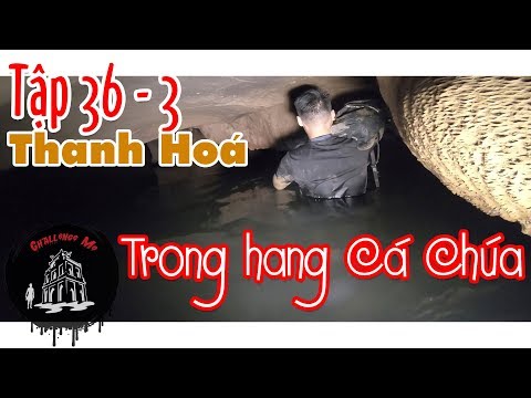 Video Trong Hang Cá Chúa [Tập 36-Phần3] - youtube