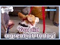 You did a great job today☺️ [Dogs Are Incredible : EP.211-4] | KBS WORLD TV 240319
