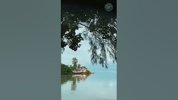 وقل الحمد لله الذى لم يتخذ ولدا، تلاوه المنشاوي