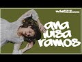 ANA LUISA RAMOS | POP-UP CONVERSATIONS