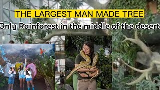 The Only Rain Forest in Dubai in the Middle of the Desert. ##GreenPlanetDubai