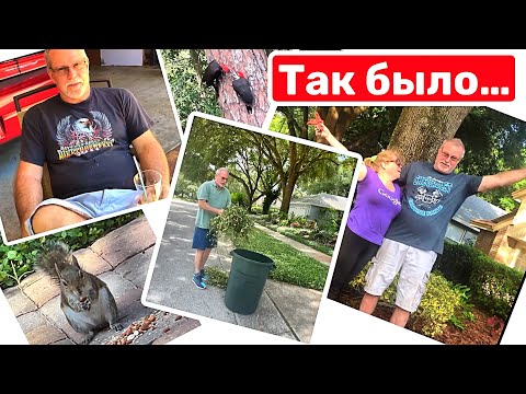 Это сделали мы