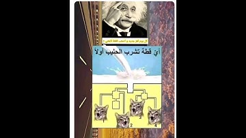 وين الأذكياء يحلون اللغز الجميل مااجمل صوت القران الكريم