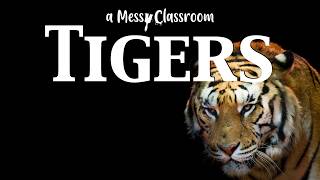 Download Lagu Bet You Don't Know This About Tigers | The Amazing World of Tigers | Facts That Will Blow Your Mind