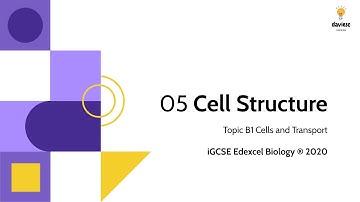 05. Cell Structure - Biology IGCSE Edexcel 9-1: Cells and Transport