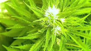 20100512