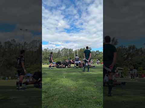 #FirstGrade #rugby : #WestHarbour v #Brumbies watching the #scrum disengage 🏉 #sydneyrugby #shorts