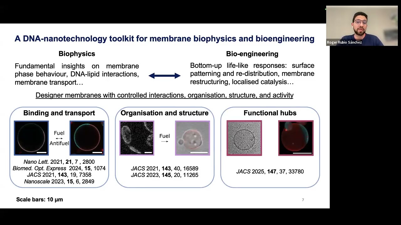 Build-a-Cell seminar Roger Rubio-Sánchez: Lipid membrane bioengineering using DNA nanostructures