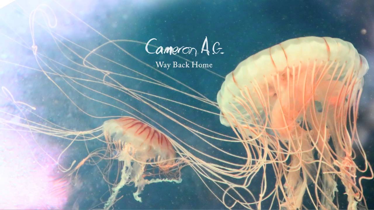 Watch Cameron AG - Double Knot on YouTube Watch Cameron AG - Double Knot on YouTube