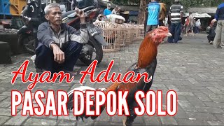 MELIHAT AYAM ADUAN PASAR BURUNG DEPOK SOLO