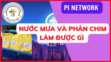 Pi Network l Hãy Nắm Giữ Nước Mưa Và Phân Chim Thật Tốt l Blog Của Hải