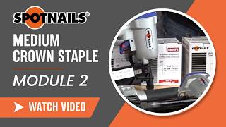 Spotnails Medium Crown Staples - Module 2