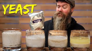 Is Your Yeast Dead? How To Keep It Alive!