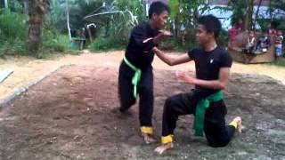 Latihan Pencak Silat(Atraksi)