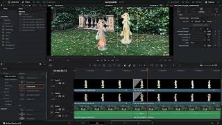 DaVinci Resolve 18.6 MacOS BigSur 11.5.1 bunny transitions