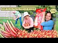 FILIPINA BRITISH LIFE:RHUBARB AT STRAWBERRY PARA KAY BIYENAN! SAHOD TIME