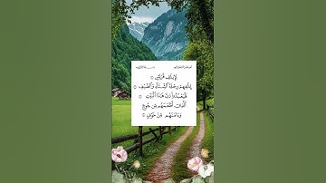#سورة_قريش  #قرآن #مشاري_العفاسي  #مكة #اسلام  #دعاء  #يارب  #صوت_جميل #راحة_نفسية  #الحب