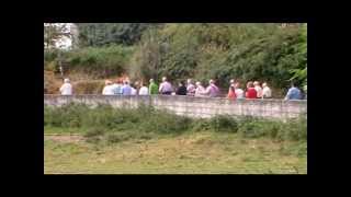 PROCESION DE Nª. Sª DE LAS NIEVES..