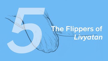 Requena the Livyatan 5: The Flipper | Learn to Draw Marine Animals with ZHAO Chuang
