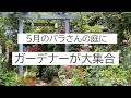 ５月某日バラさんの庭　県内外から集まったガーデナー達のマニアトーク
