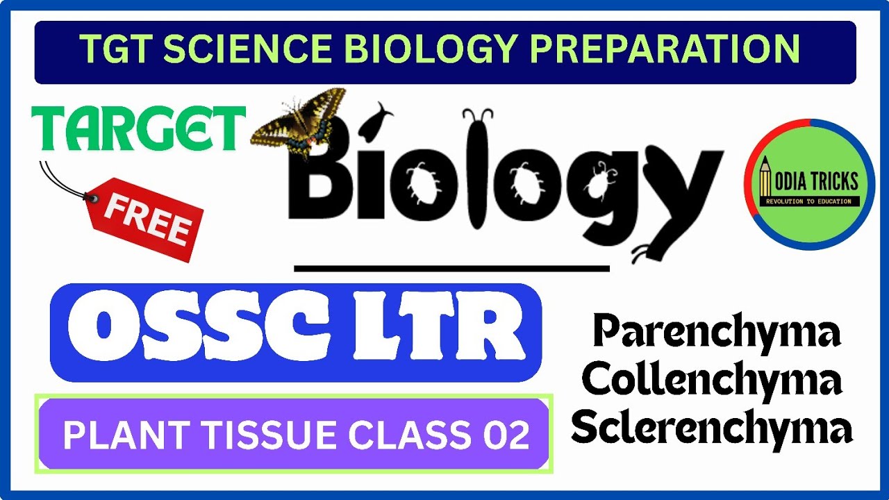 Class 94 - Simple Permanent Tissue - Plant Tissue System Biology Class - OSSC LTR MAINS TGT CBZ