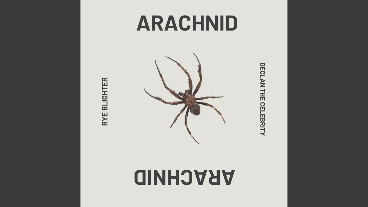 Watch arachnid (feat. Declan the Celebrity) on YouTube Watch arachnid (feat. Declan the Celebrity) on YouTube