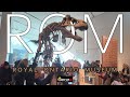 Largest museum in canada    royal ontario museum rom virtual tour    2024