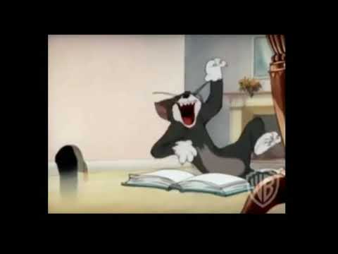 C++ Programing...tom & jerry version