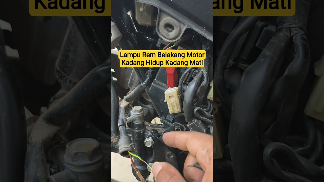 Perbaiki Lampu Rem Motor Mati Sebelah 