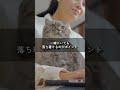 猫が一緒に寝たいと思う人3選 #ペットフル #雑学 #プチ知識 #ねこたんの解説#ネコ