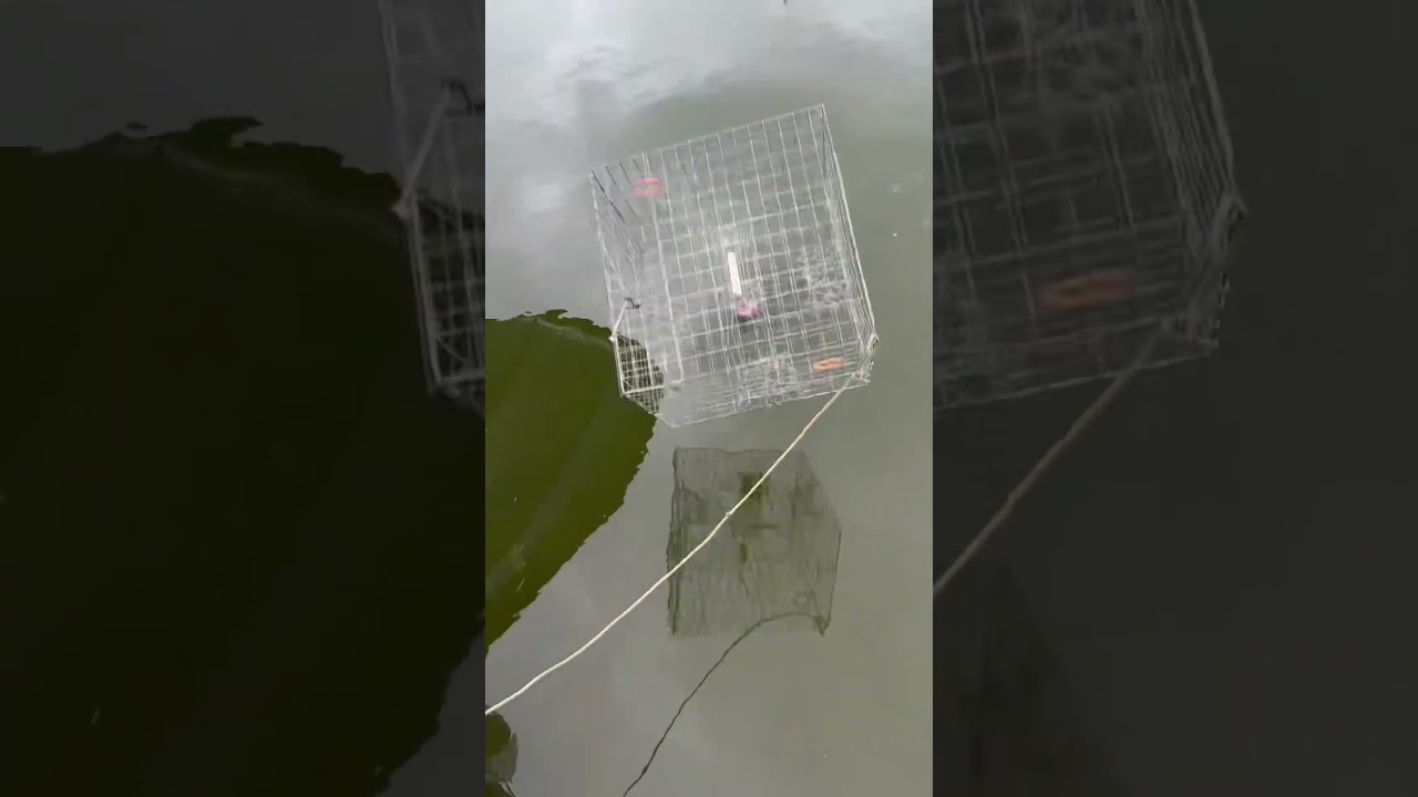 Day 9- Living in Southern Maryland 