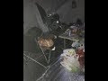 Четверых рыбаков погубила печная заслонка