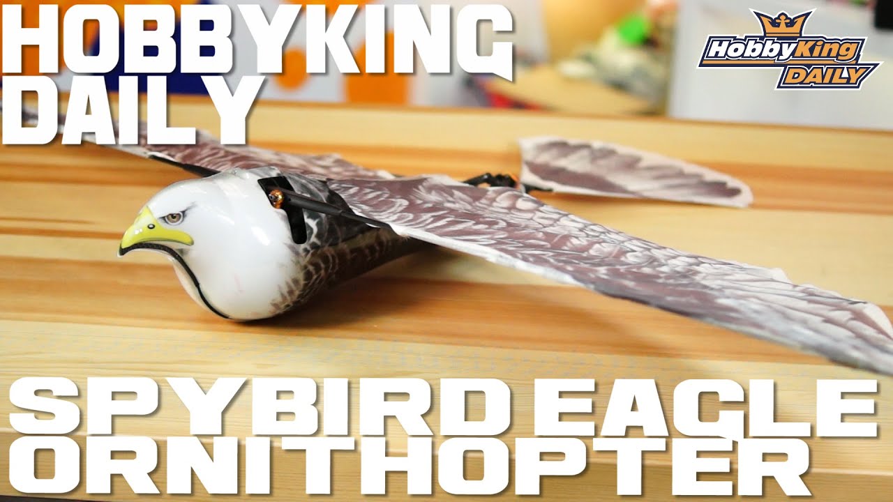 Rc Ornithopter Hobbyking Roro Hobbies